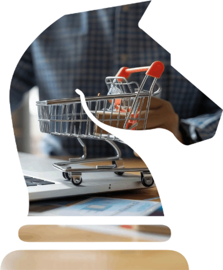 ECommerce Optimization surrey